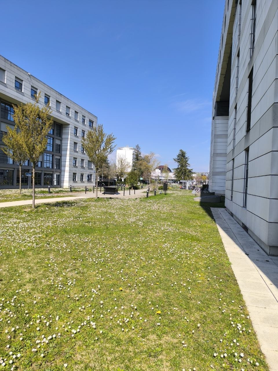 Весеннее фото ЦЕРН