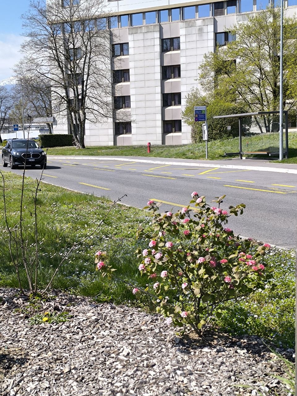 Весеннее фото ЦЕРН