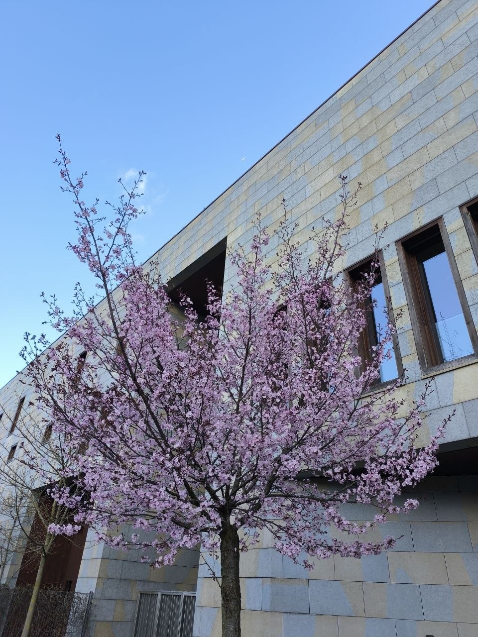 Весеннее фото ЦЕРН