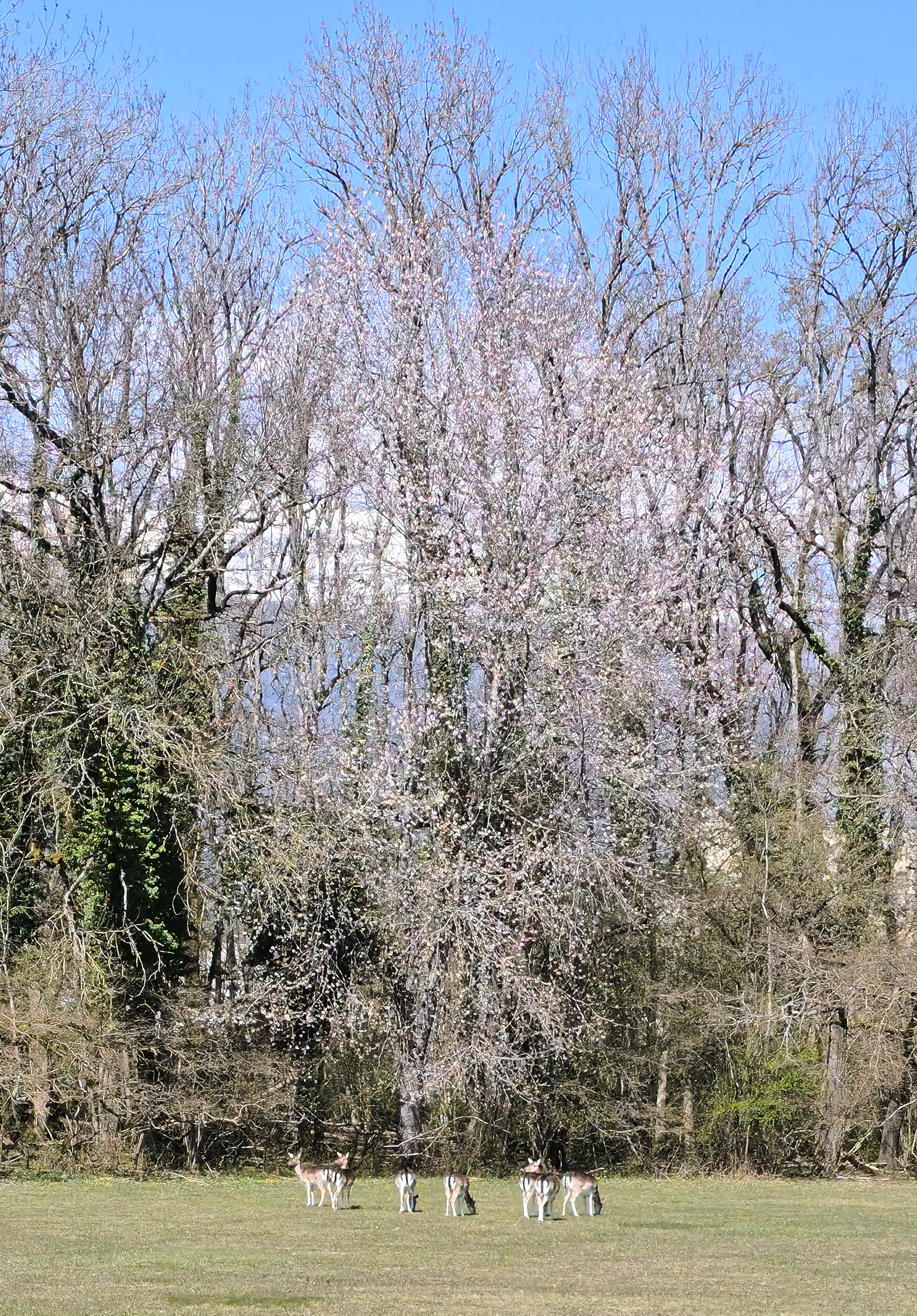 Весеннее фото ЦЕРН